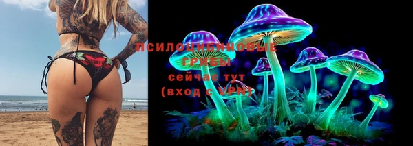 прущая мука Гусев